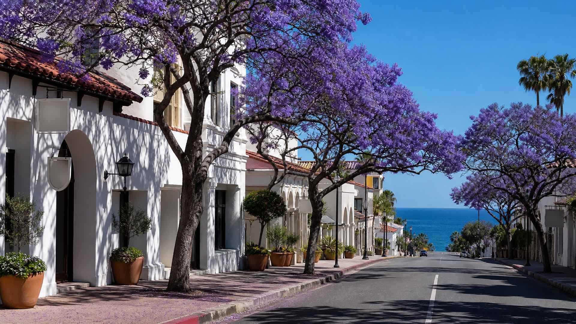 A San Diego street of white Spanish-revival buildings with tile roofs under jacarandas in purple bloom, the Pacific at the end of the road